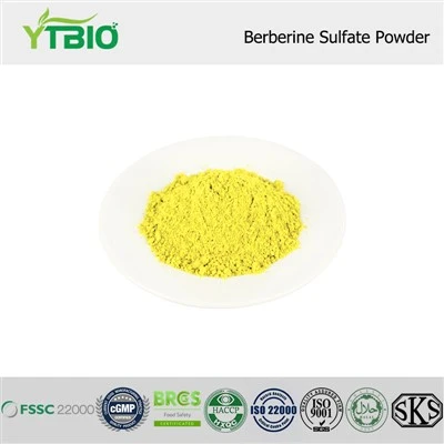 Berberine Sulfate Powder