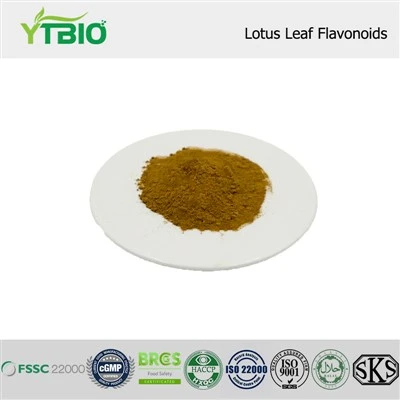 Lotus Leaf Flavonoids
