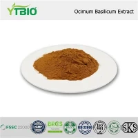 Ocimum Basilicum Extract