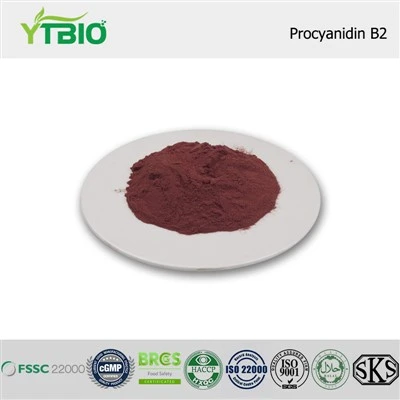 Procyanidin B2
