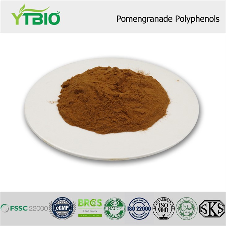 Pomengranade Polyphenols