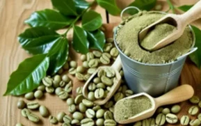 Green coffee bean extract Powder Green coffee bean extract Powder