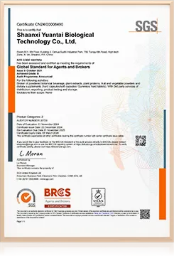 certificate 01
