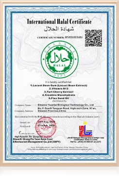 certificate 06