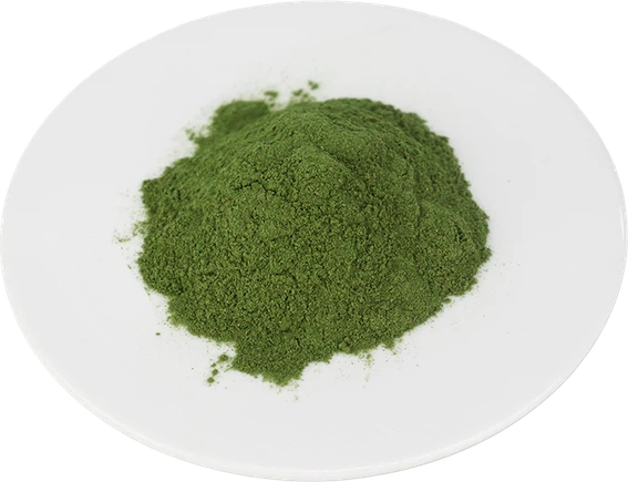 Freeze-Dried Powder Freeze-Dried Powder