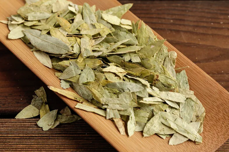 Guava leaf extract Guava leaf extract