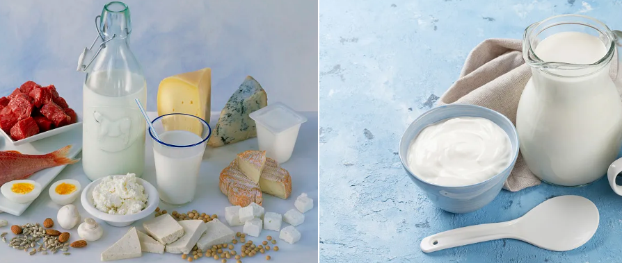 Beta galactosidase Beta galactosidase