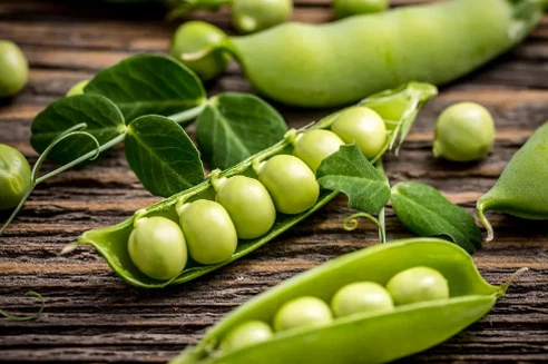 Hydrolyzed pea protein Hydrolyzed pea protein