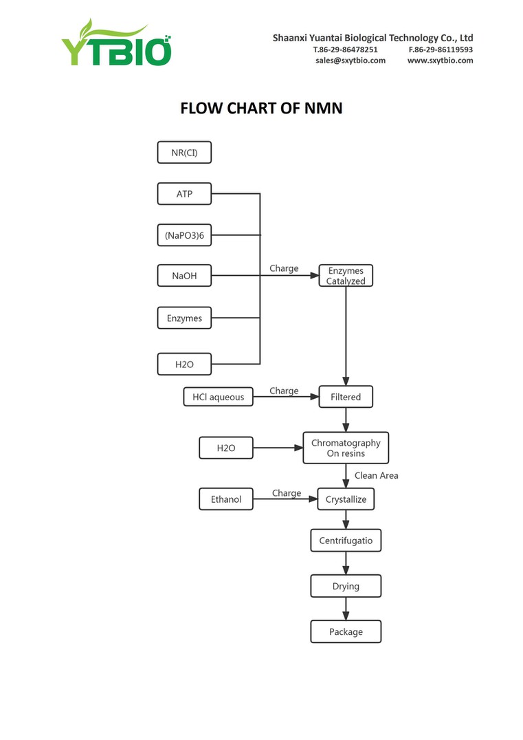FLOW CHART FLOW CHART