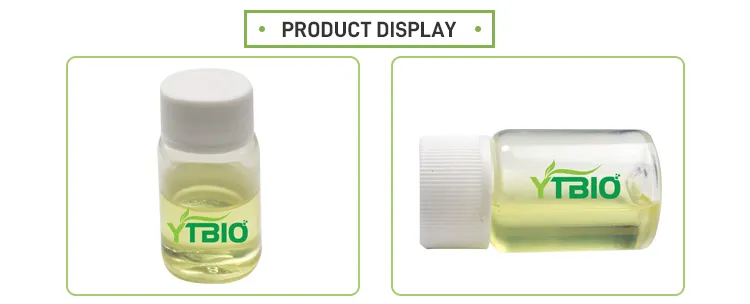Peppermint Essential Oil Peppermint Essential Oil