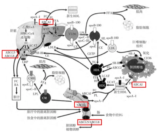 mechanism mechanism