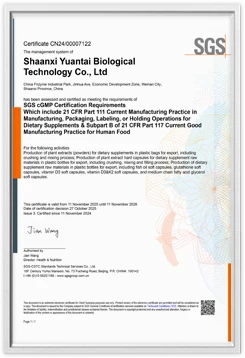 certificate 02