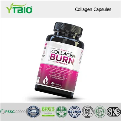 Best Collagen Capsules