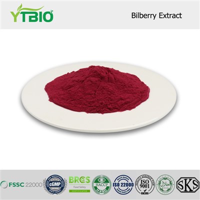 Bilberry Extract Powder