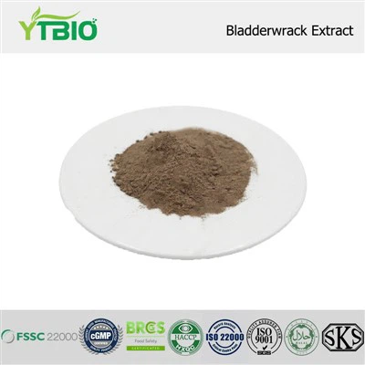 Bladderwrack Extract