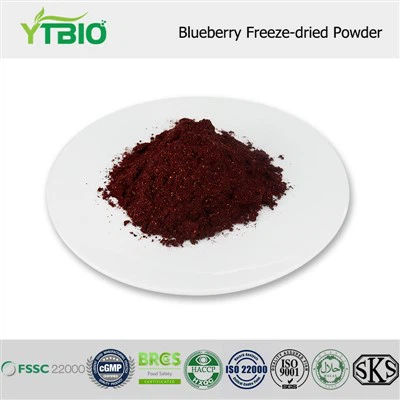 Blueberry Freeze-dried Powder