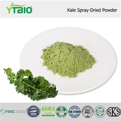 Bulk Kale Powder