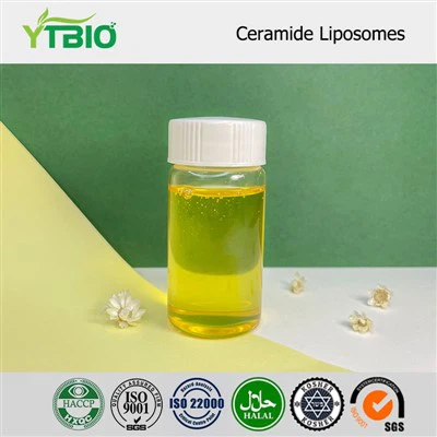 Ceramide Liposomes