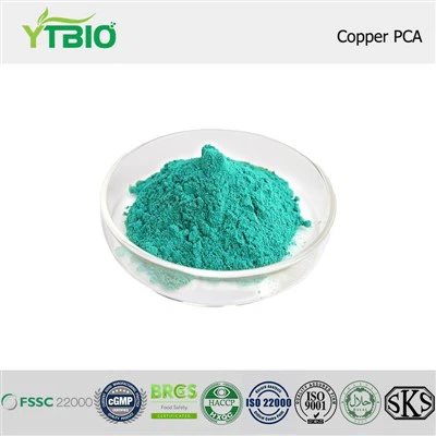 Copper PCA