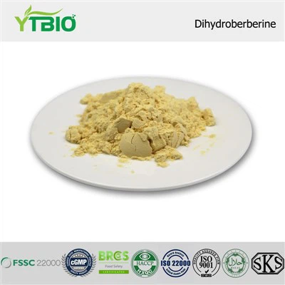 Dihydroberberine Powder