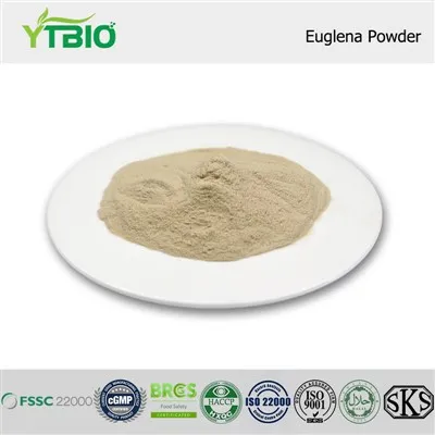 Euglena Powder