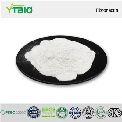 Fibronectin Powder