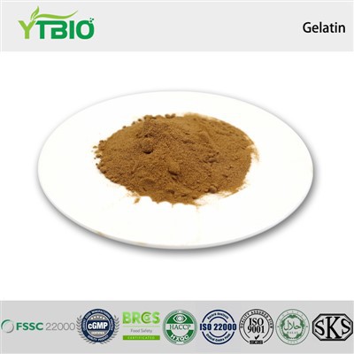 Gelatin