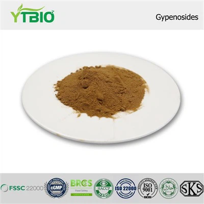 Gypenosides Powder