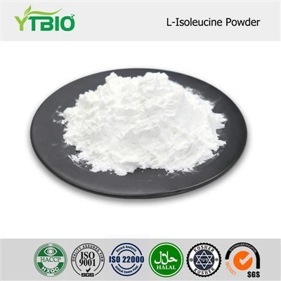 L-Isoleucine Powder