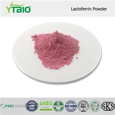Lactoferrin Powder
