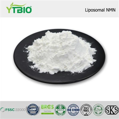 Liposomal NMN