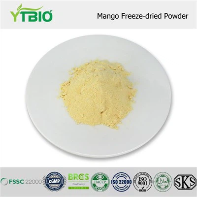 Mango Freeze-dried Powder