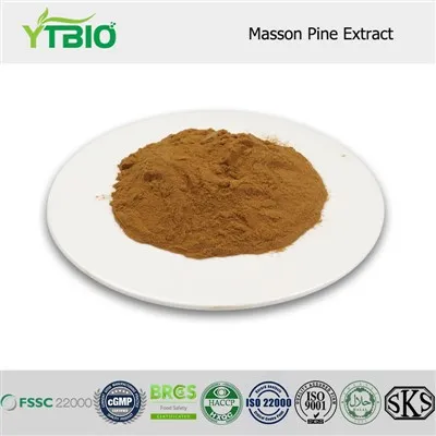 Masson Pine Extract