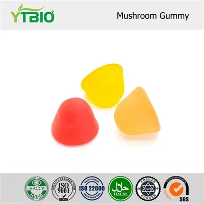 Mushroom Complex Gummies