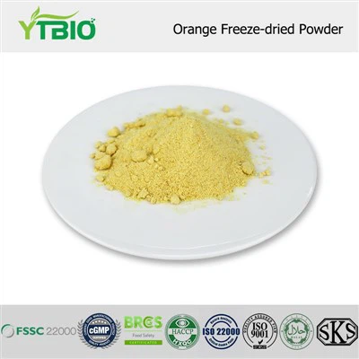 Freeze-dried Orange Powder