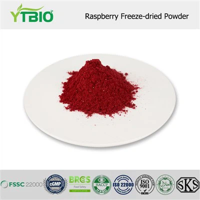 Raspberry Freeze-dried Powder