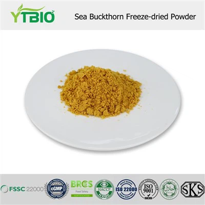 Sea Buckthorn Freeze-dried Powder
