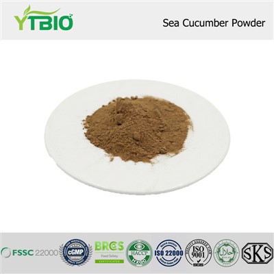 Sea Cucumber Powder