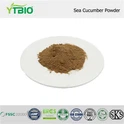 Sea Cucumber Powder