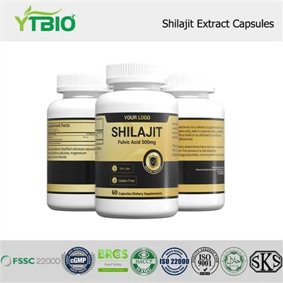 Shilajit Extract Capsules