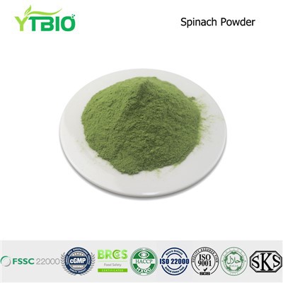 Spinach Powder