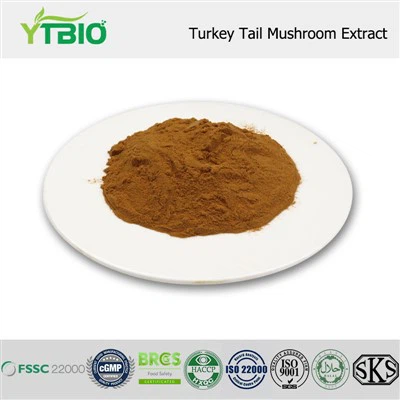 Turkey Tail Mushroom Extract