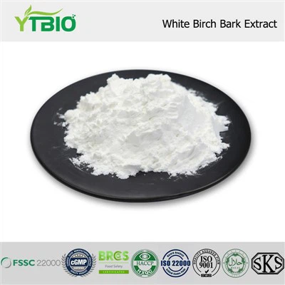 White Birch Bark Extract