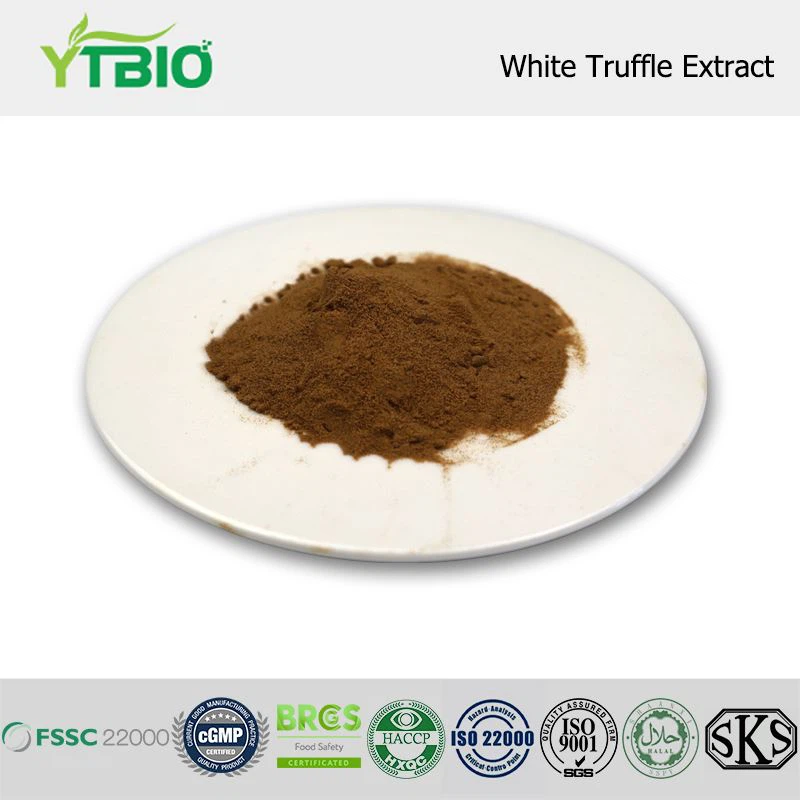 White Truffle Extract